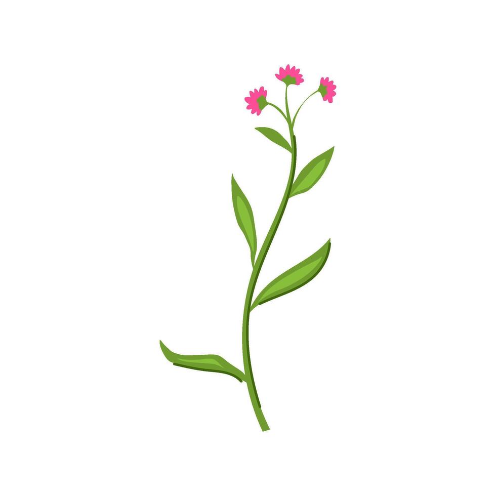petal flower branch cartoon illustration vector