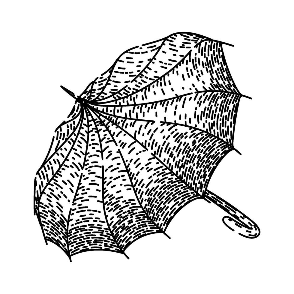 classic umbrella sketch hand drawn vector