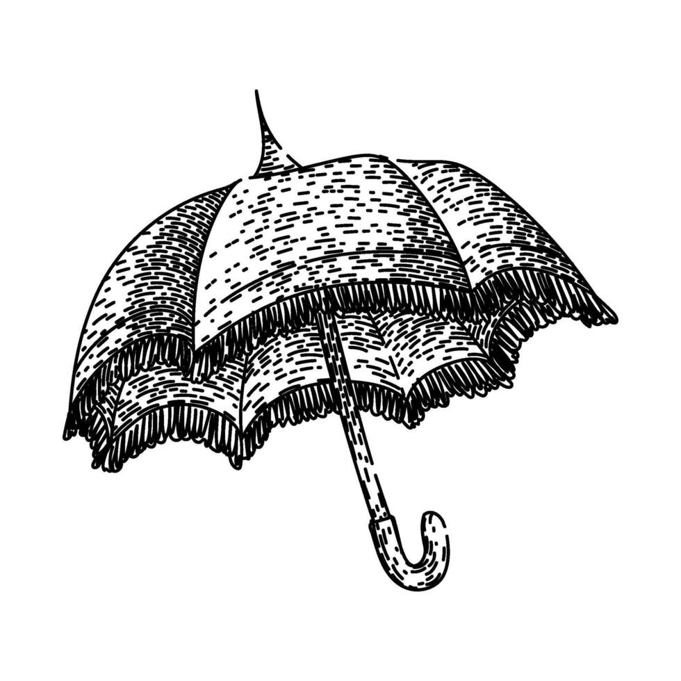 antique umbrella sketch hand drawn vector