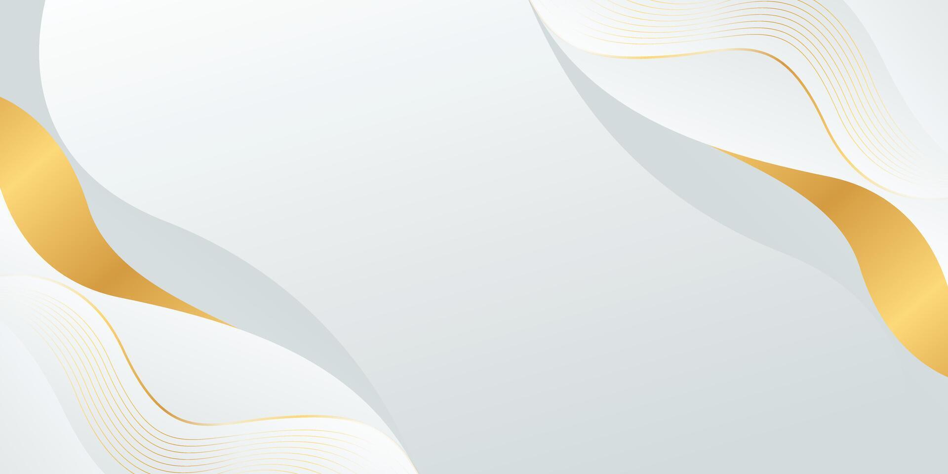 Abstract white-gray luxury elegant background with gold lines. Modern wallpapers with wave shapes vector