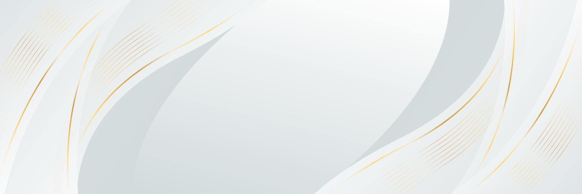 White-gray luxury banner background with gold lines. Abstract wave background design vector