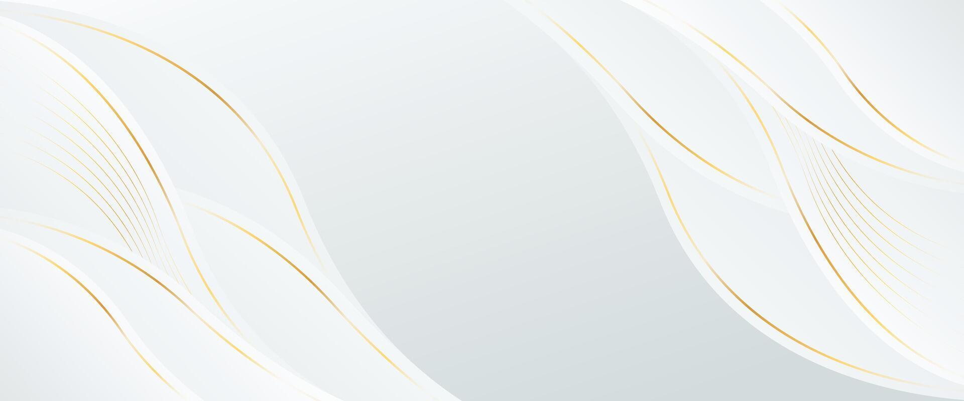 Contemporary white-gray luxury wave banner background. gold lines element vector