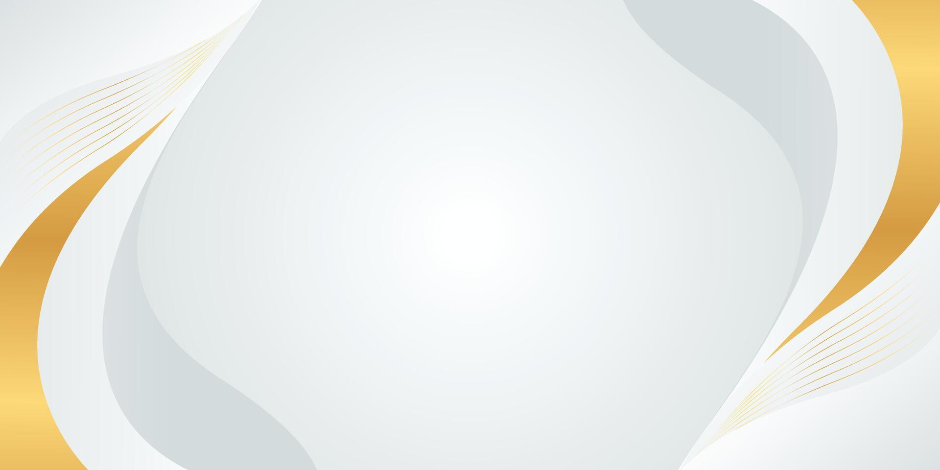 White-gray luxury background design with gold lines. Abstract wave background vector