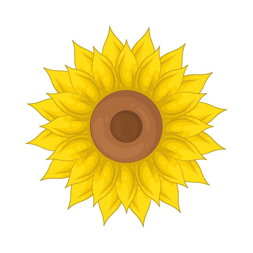 Illustration of sunflower vector