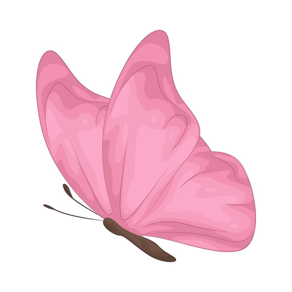 Illustration of butterfly vector