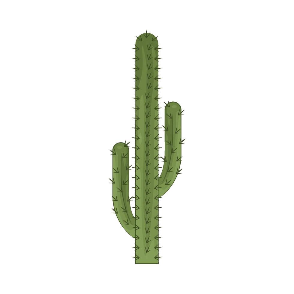 Illustration of cactus vector