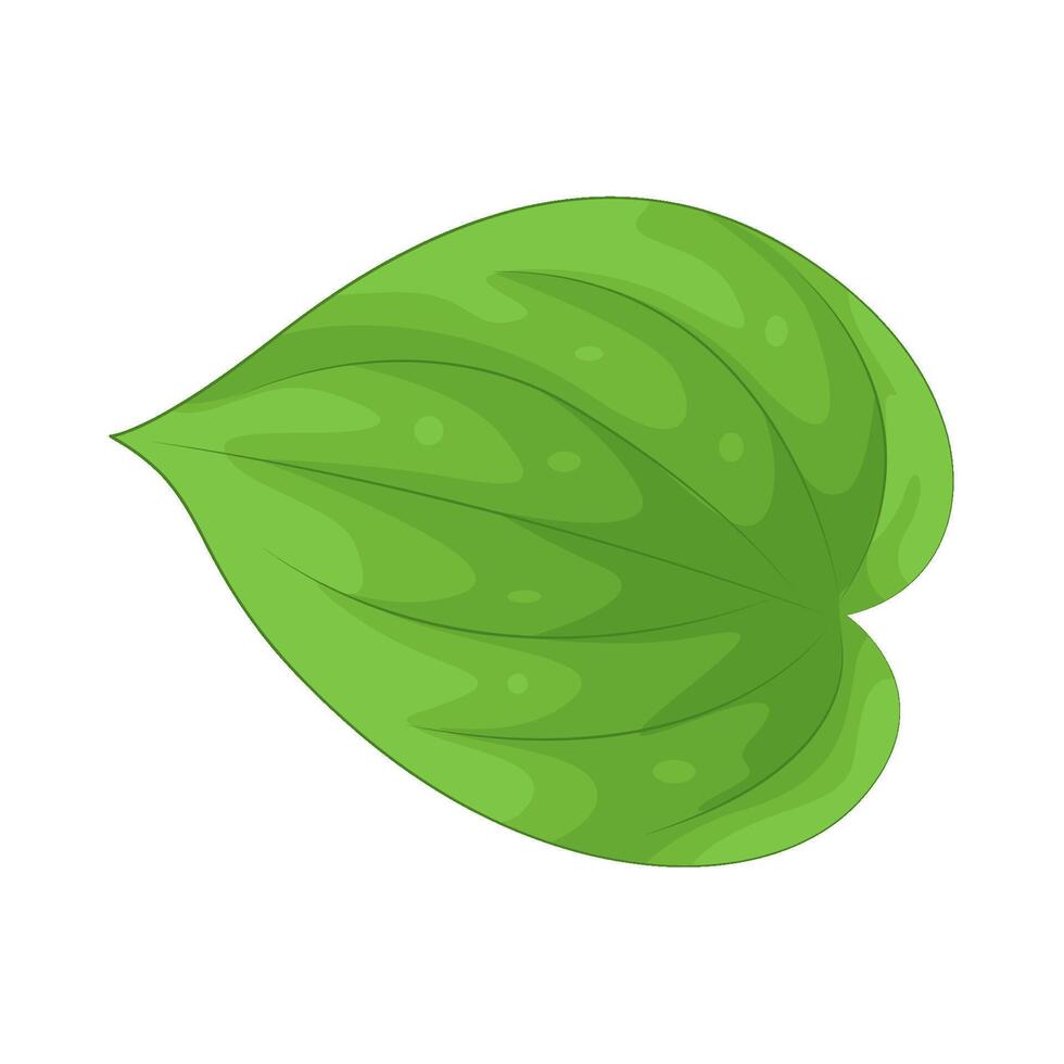 Illustration of leaf vector