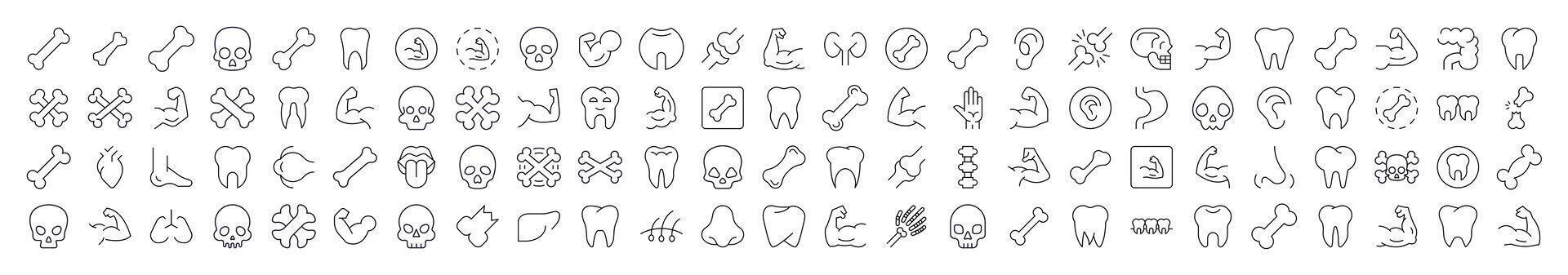 Internal Organs, Teeth and Bones Collection of Thin Icons. Editable Stroke. Suitable for Web Sites, Books, Cards, Apps vector