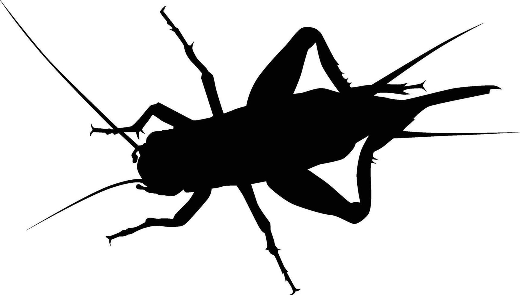Cricket insect silhouette vector