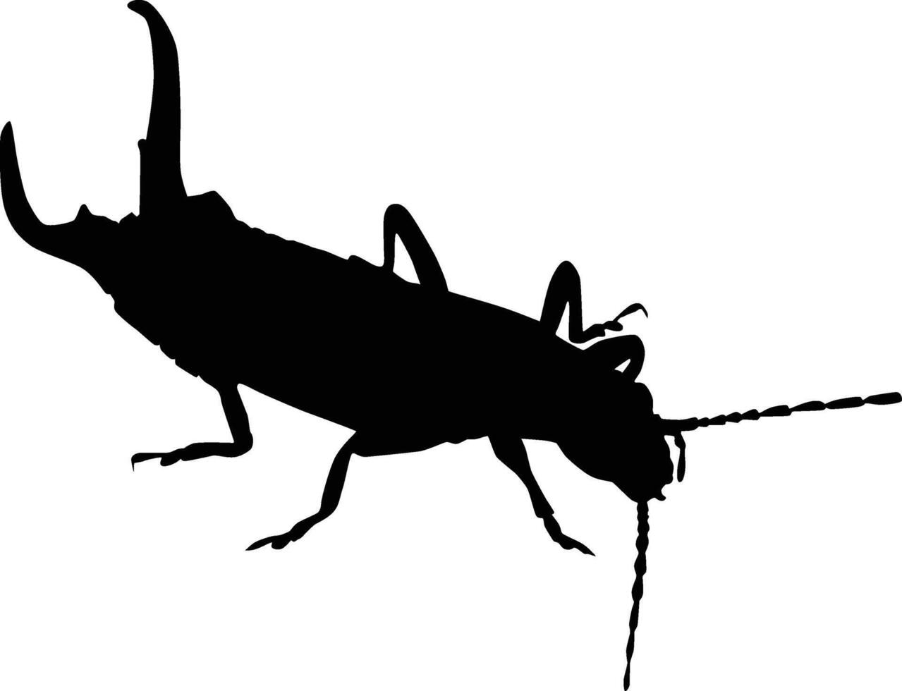 Earwig insect silhouette vector