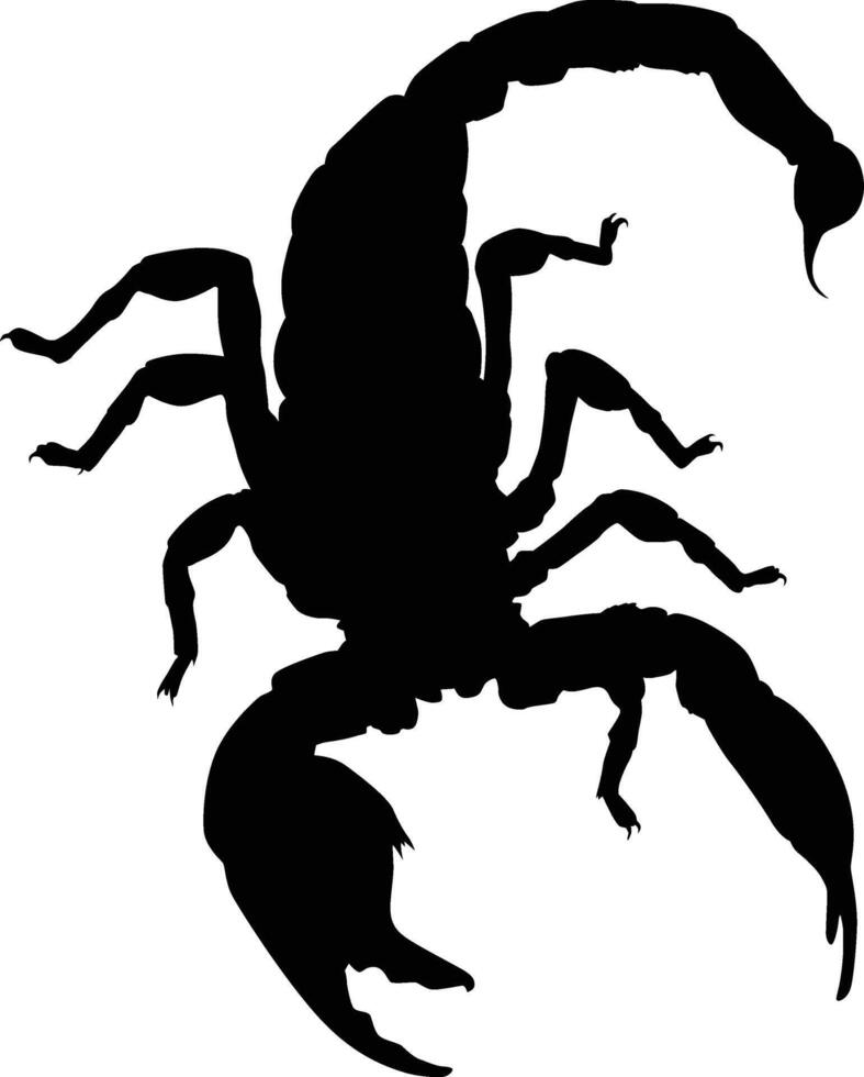 Scorpion insect silhouette vector