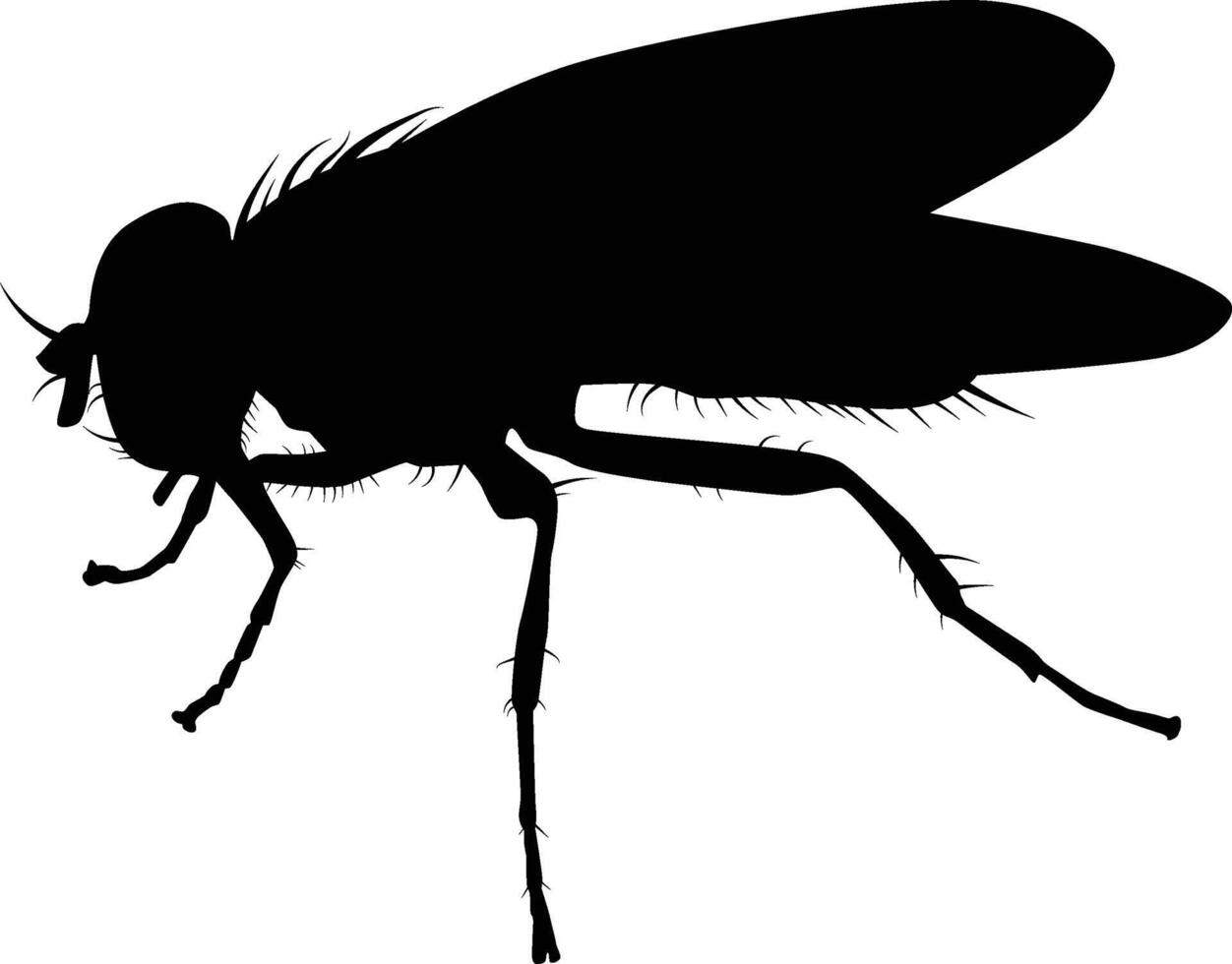 fly insect silhouette vector