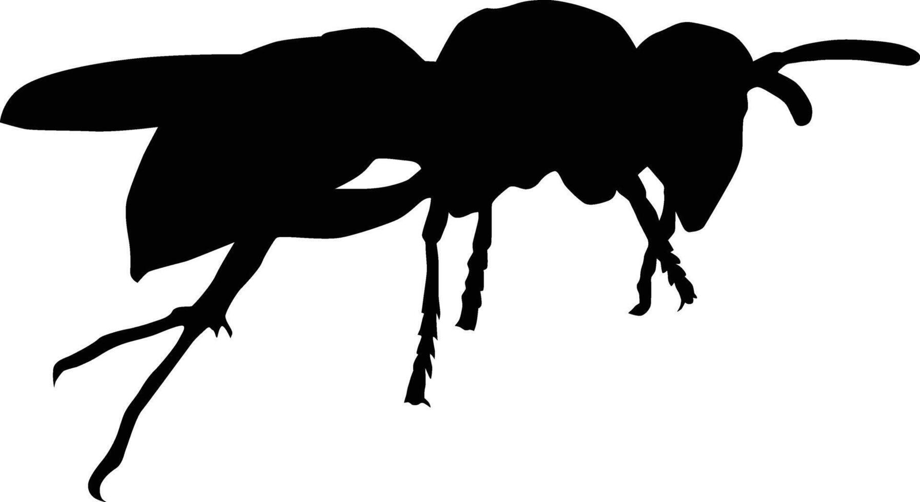 Bee full body silhouette vector