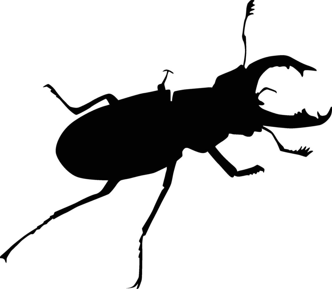 Beetle insect silhouette vector