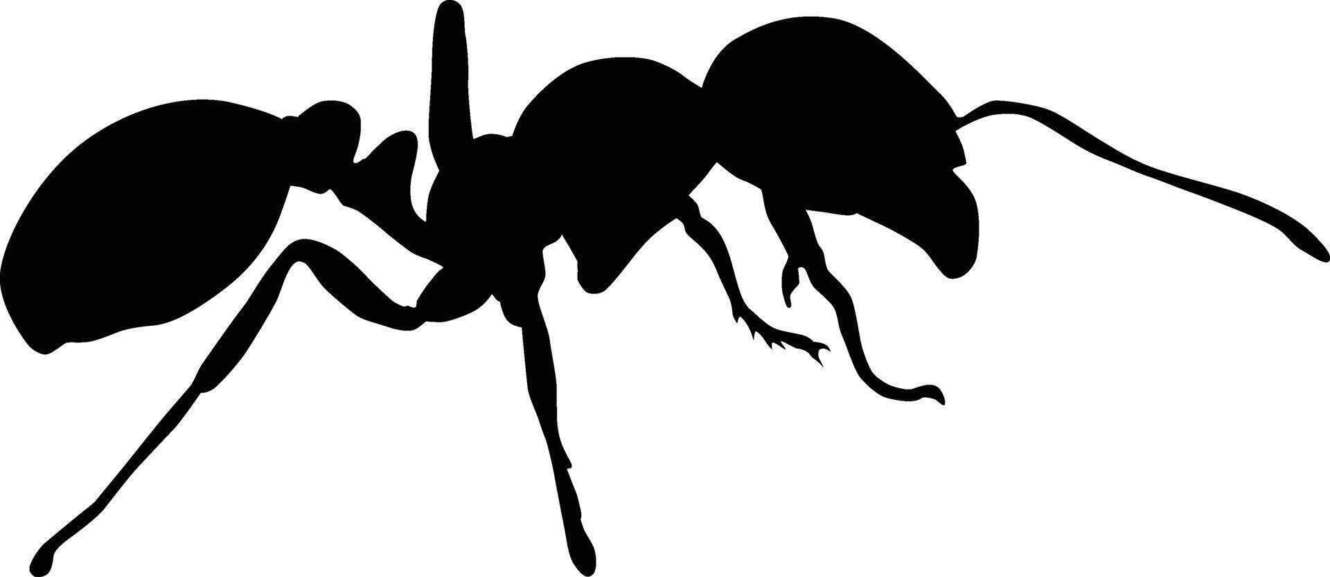 Ant full body silhouette vector