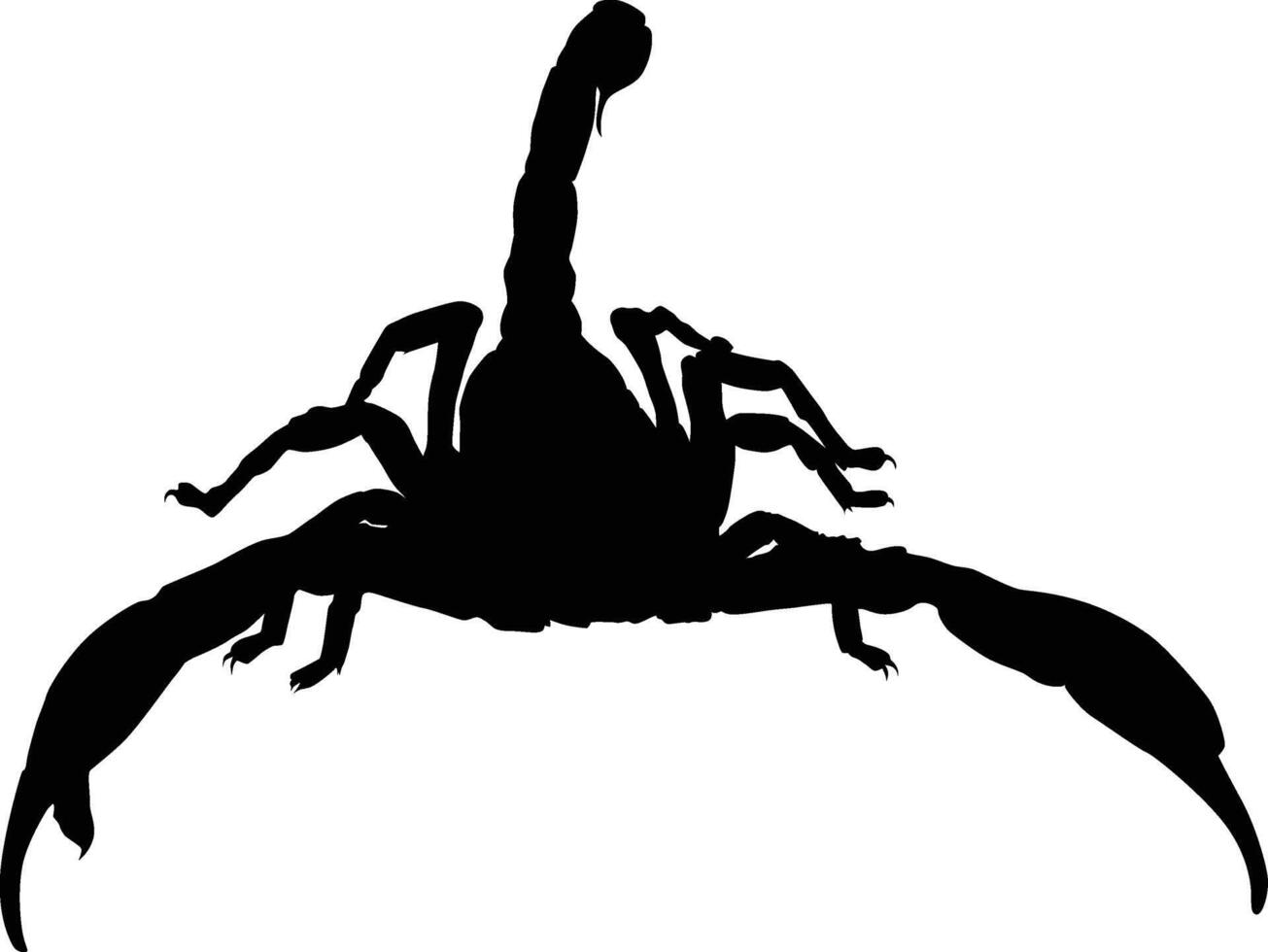 Scorpion silhouette illustration vector