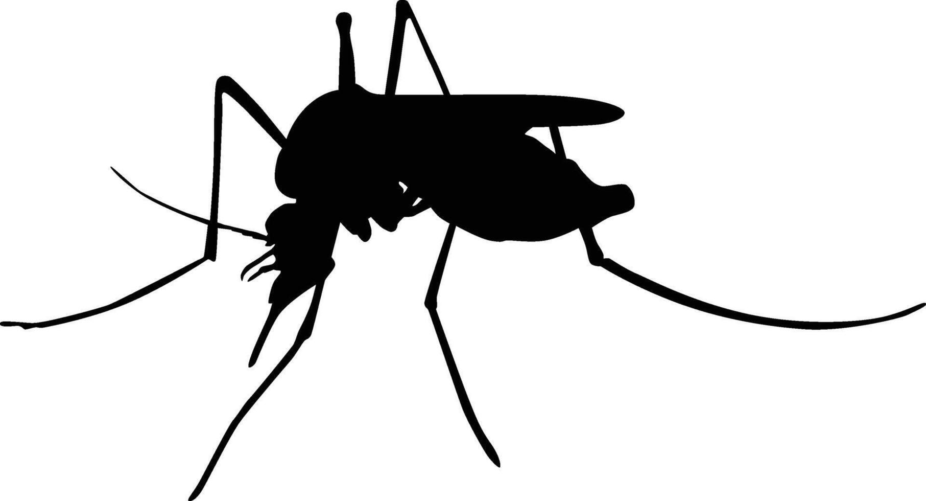 Mosquito full body silhouette vector