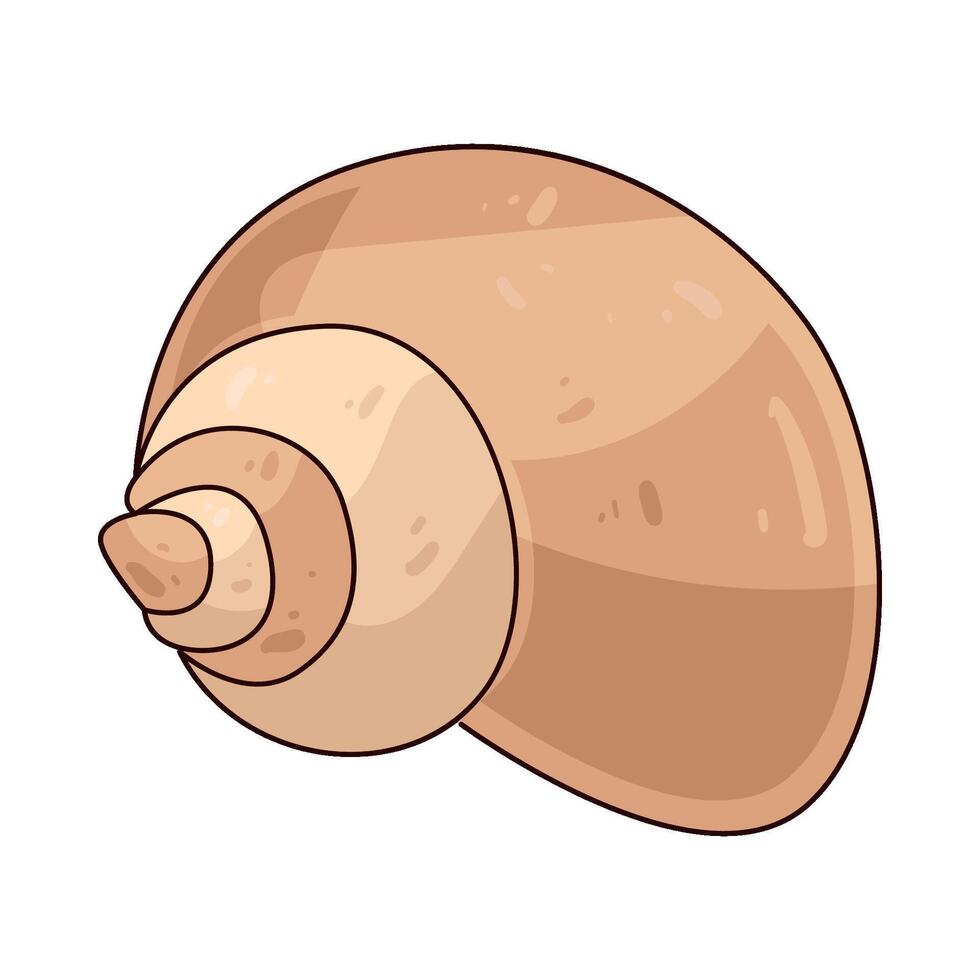 Illustration of Sea shells vector