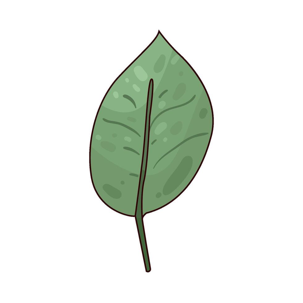 Illustration of Green Leaf vector
