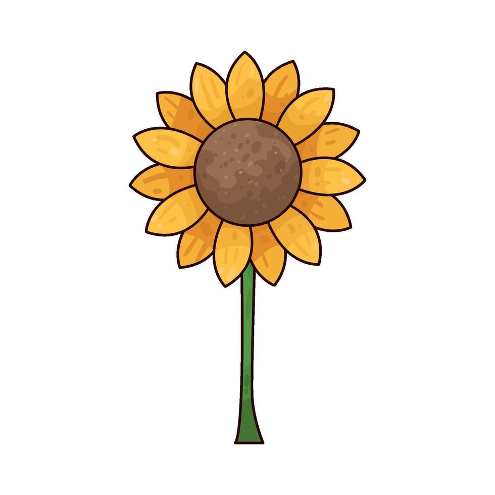 Illustration of Sunflower vector