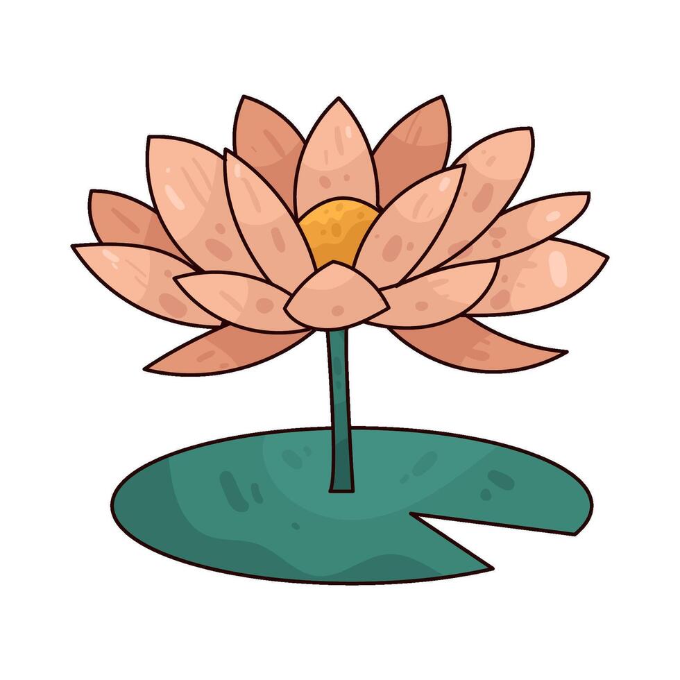 Illustration of Water lily vector