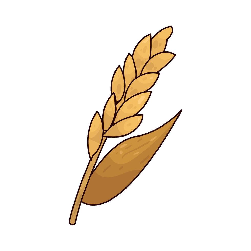 Illustration of wheat vector