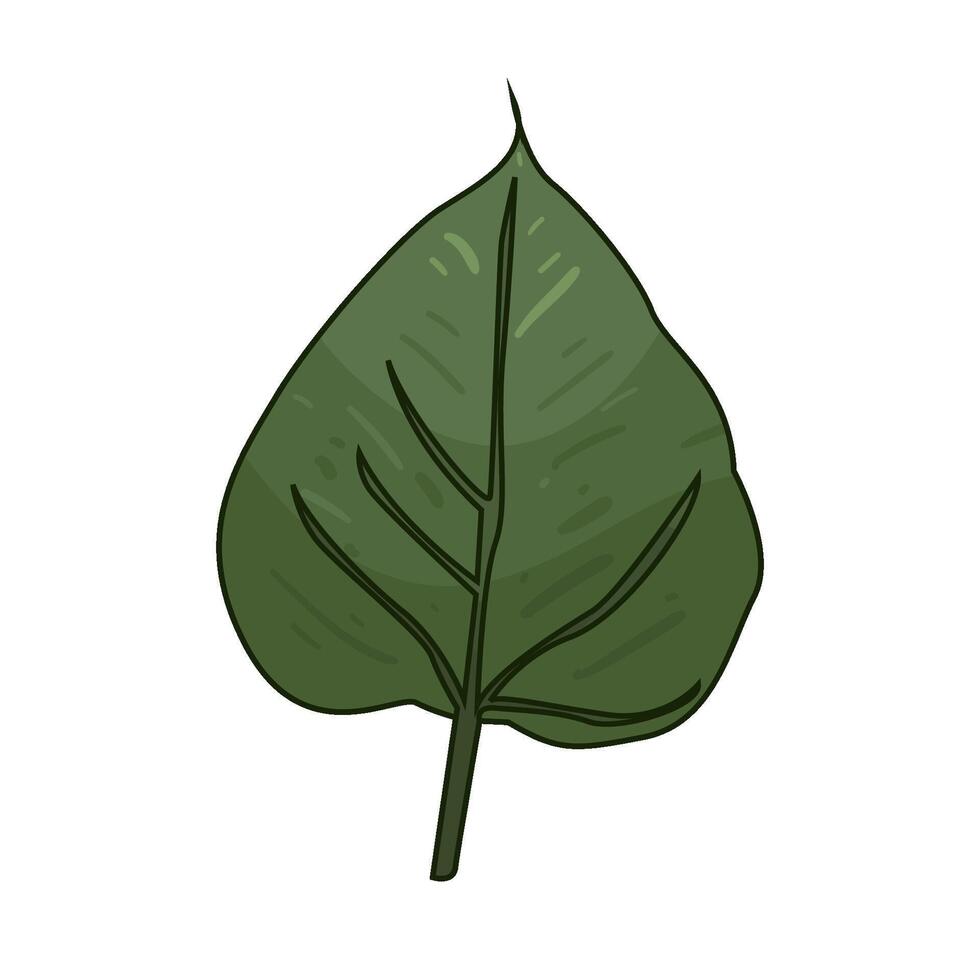 Illustration of leaf vector