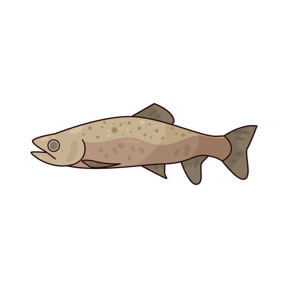 Illustration of Trout vector