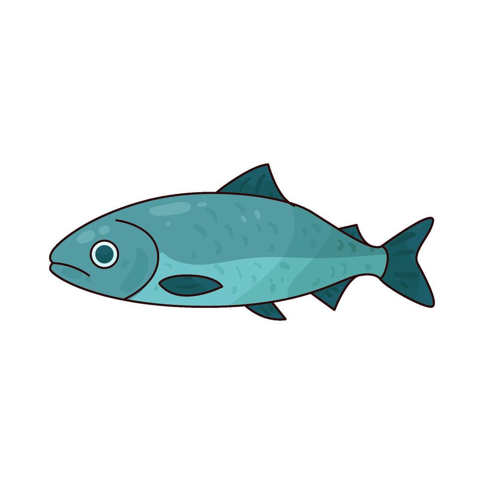 Illustration of salmon vector