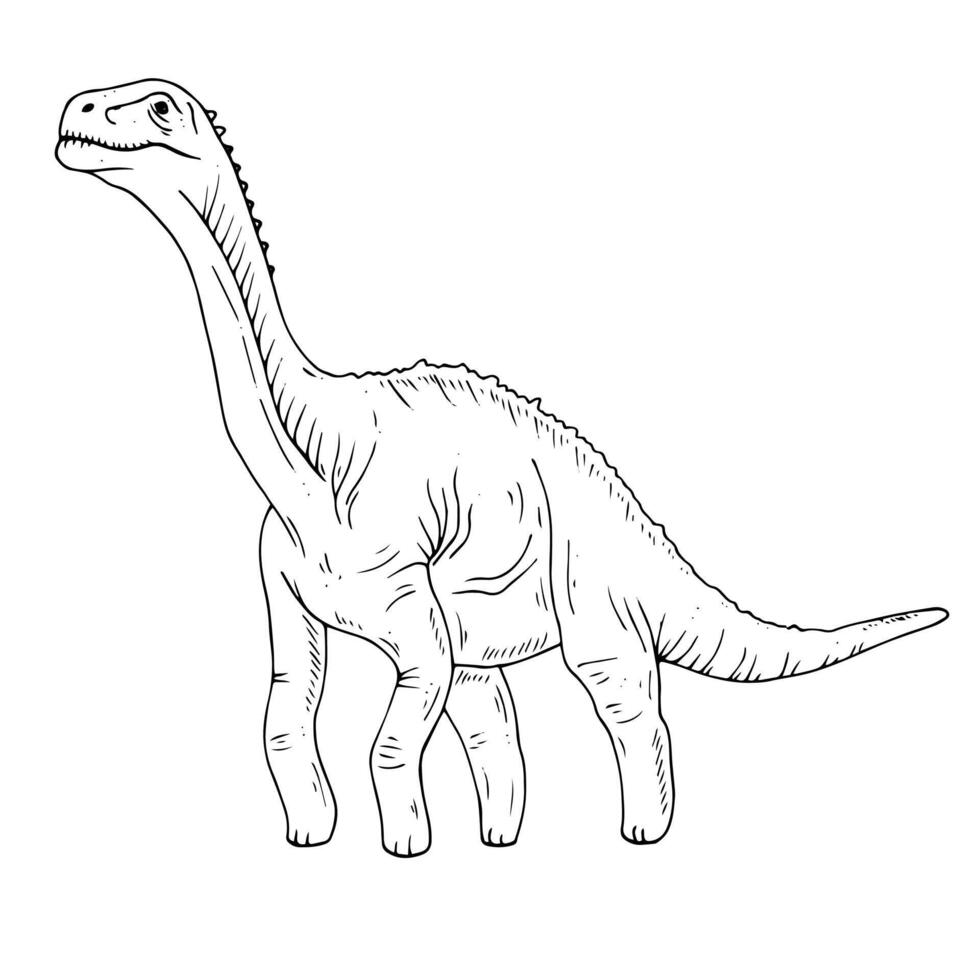 Graphics black and white dinosaur. Black line illustration with diplodocus in the ink style. vector