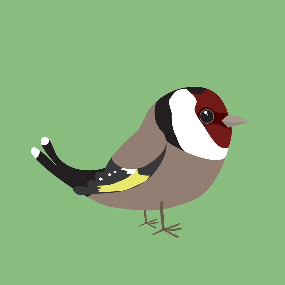 A goldfinch comic illustration vector
