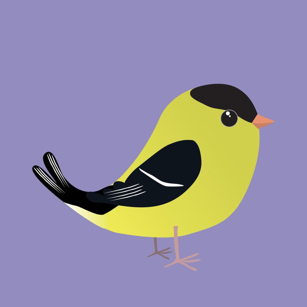 An American goldfinch cartoon illustration on a purple background vector
