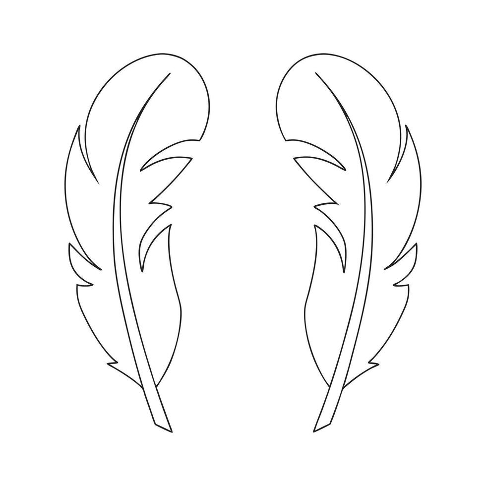 Sharp and Distinct Feather Line Art Design vector