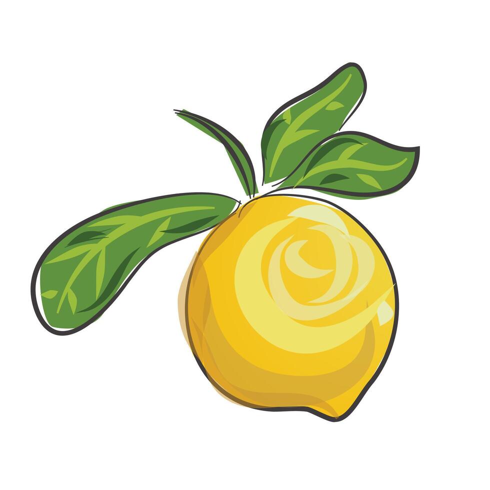 Fresh Lemon Illustration vector