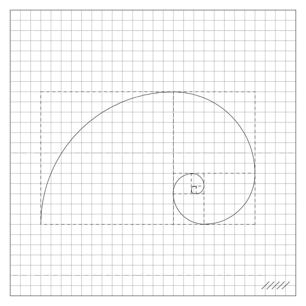 Golden Ratio Spiral On Notebook Sheet Of Checkered vector