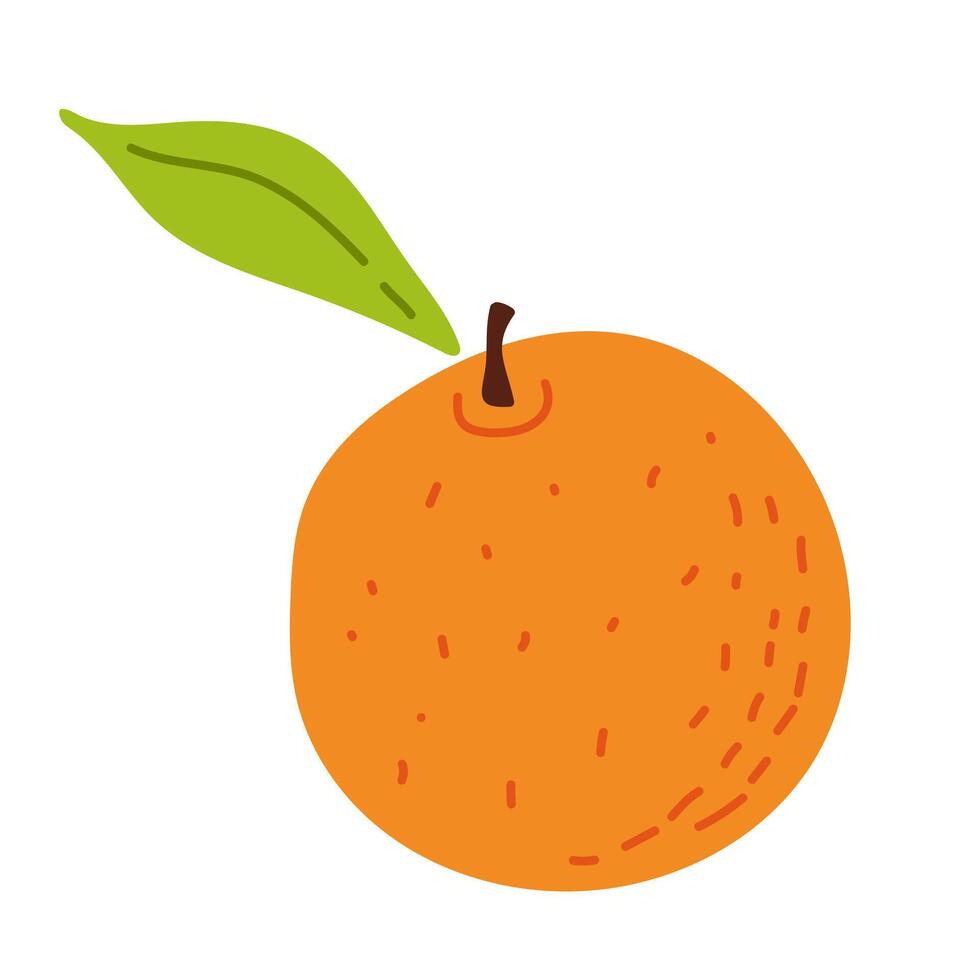 Fresh orange with a green leaf against a plain white background showcasing its vibrant color vector
