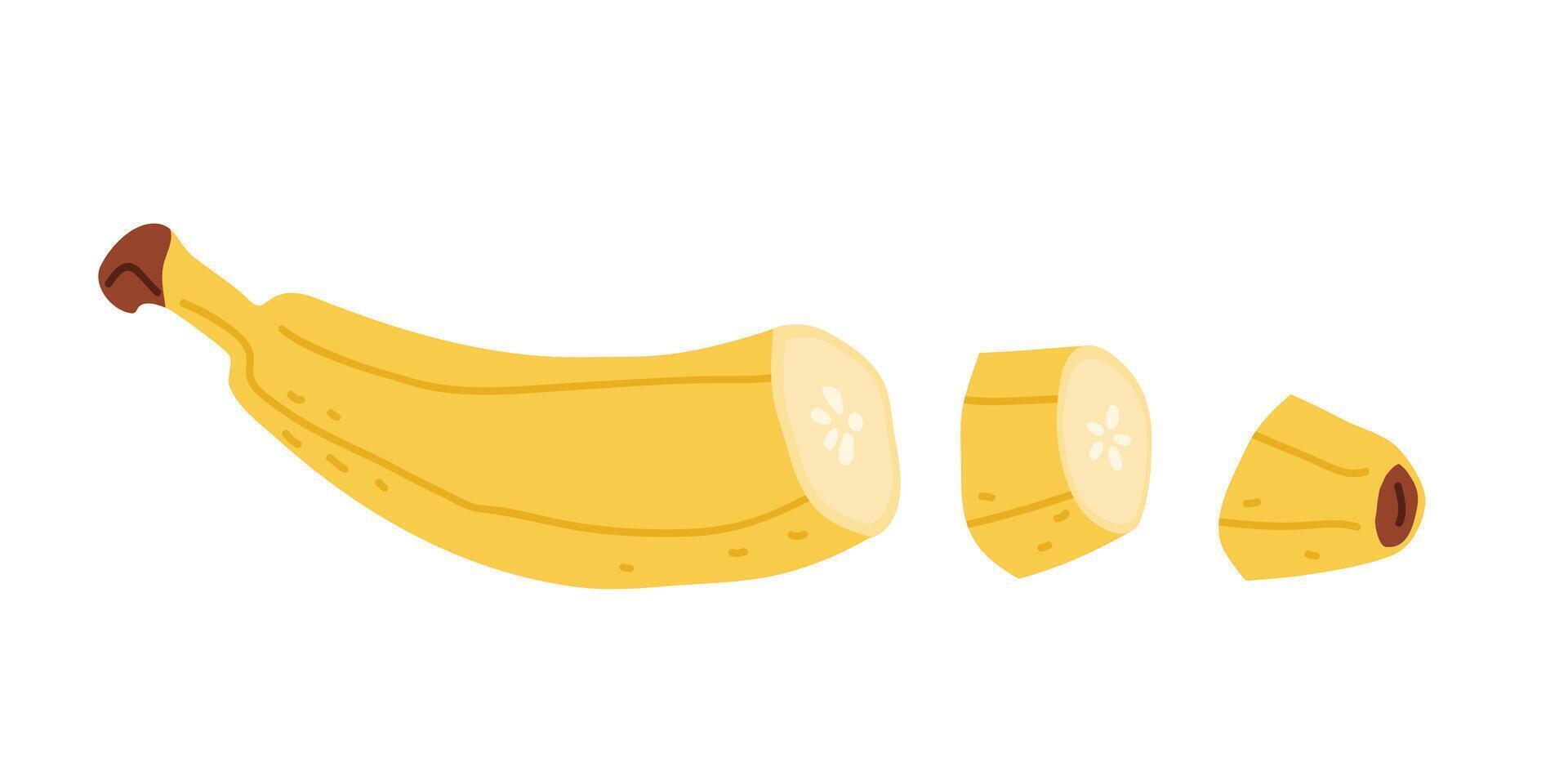 Sliced banana on a clean white background showcasing natural colors and textures vector
