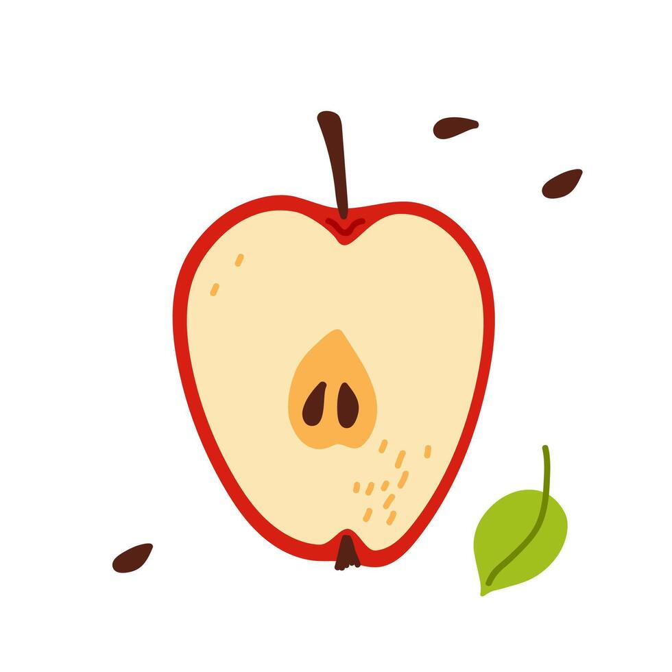 Sliced apple revealing the interior with distinct colors and features on a white background vector