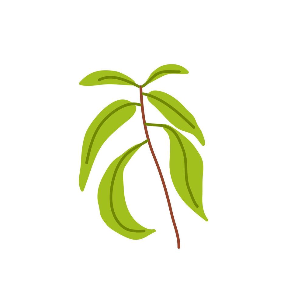 Fresh green plant branch with vibrant leaves on a plain white background in a minimalist style vector