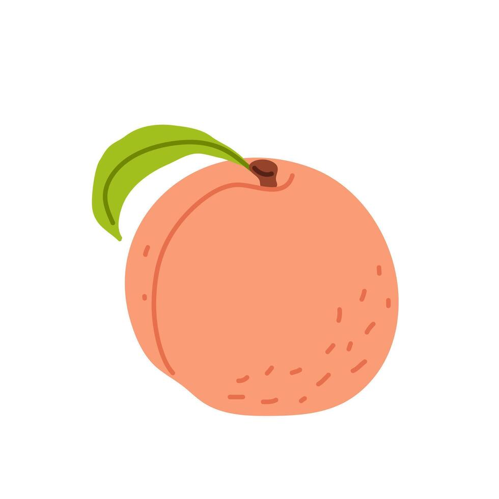 Sliced fruit and seed on a white background representing healthy snacking choices vector