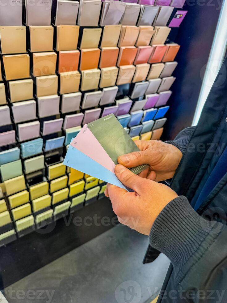 Customer Selecting Paint Swatches in Colourful Hardware Store Display. High quality photo