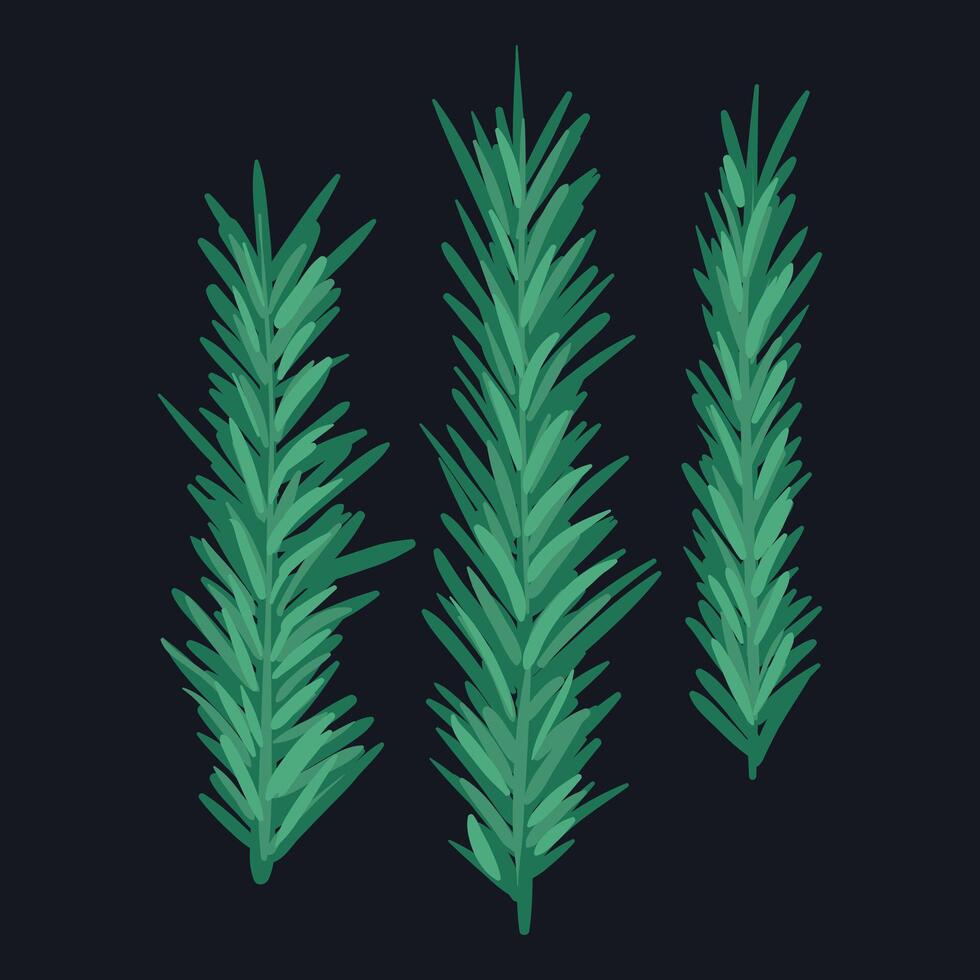 Christmas illustration featuring three green pine branches. Simple and natural design, perfect for holiday themes, decorations, and seasonal winter elements. vector
