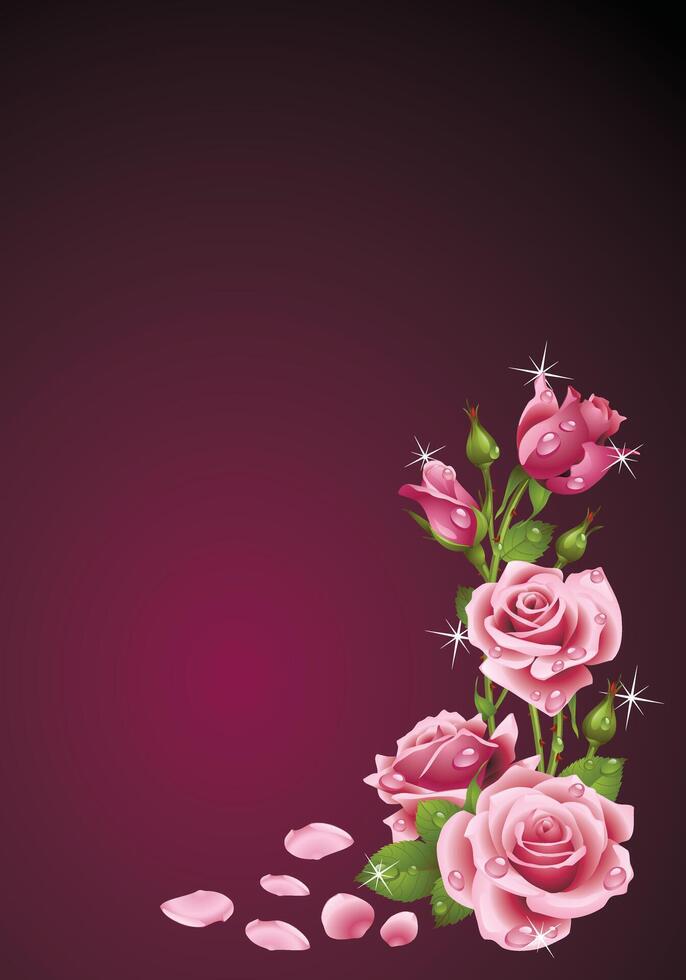 Elegant Pink Roses on a Gradient Background vector