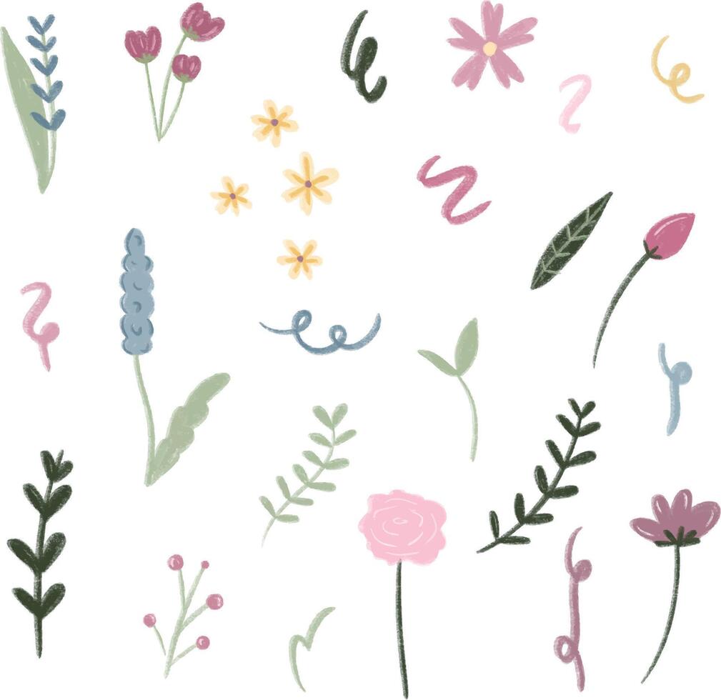 a collection of different flowers and leaves.doodle style pastel color collection vector