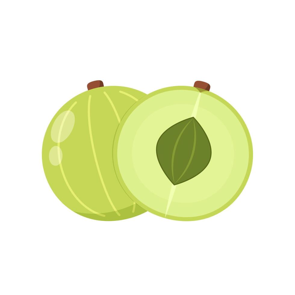 Indian gooseberry fruits or Amla indain fruit . vector