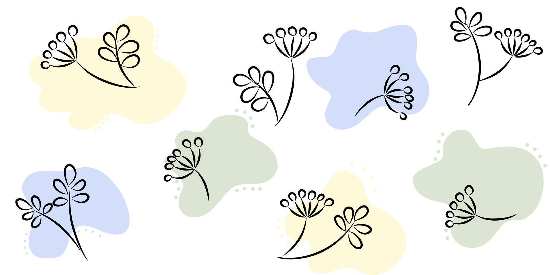 Seamless pattern hand drawn dandelion flower on white background. vector