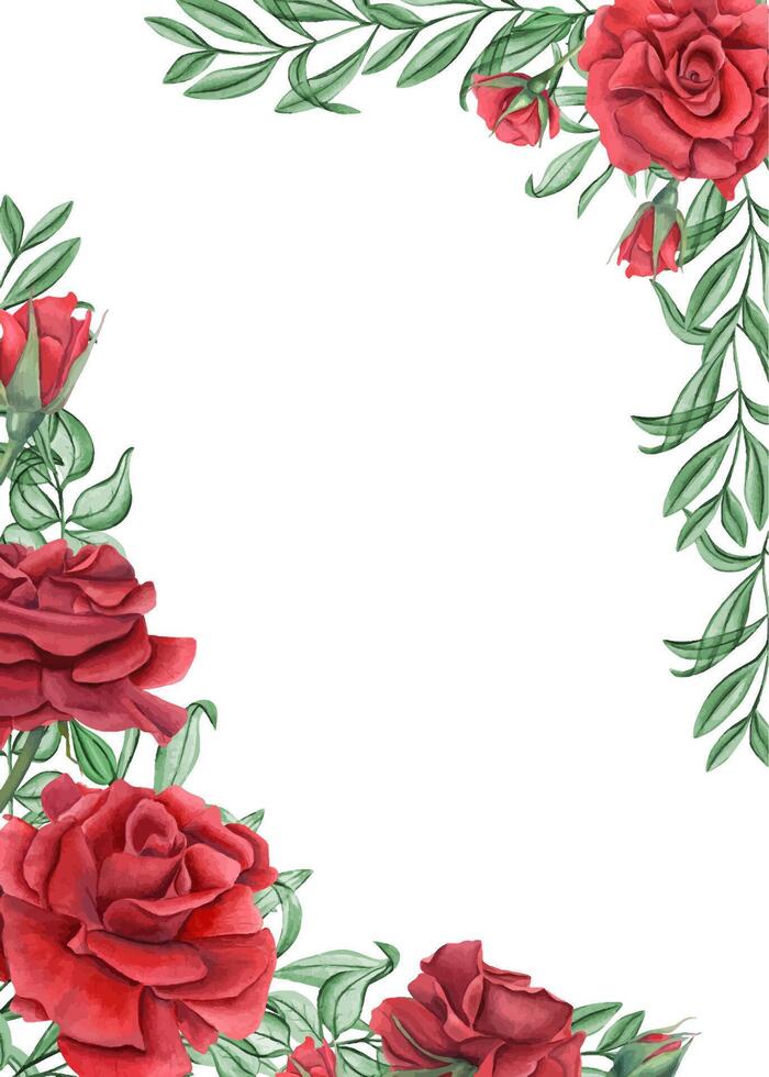 Red rose flowers, abstract leaves watercolor vertical rectangle frame. Summer garden blooming deep ruby roses with eucalyptus. Empty space for text. Template for invitations, greeting cards vector