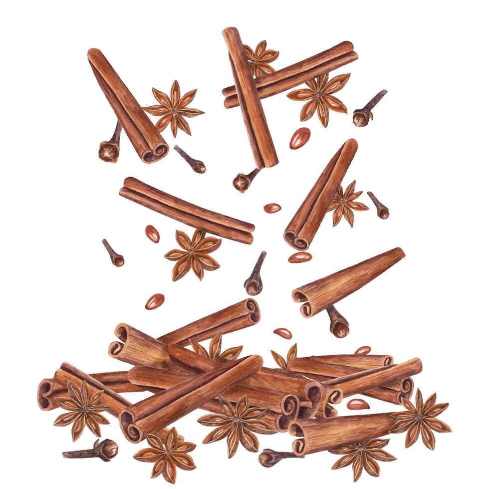 Cinnamons sticks, star anise, dried cloves. Badian, seeds. Winter aromatic spices for hot drinks and Xmas baking. Botanical watercolor illustration for package design, label, logo vector