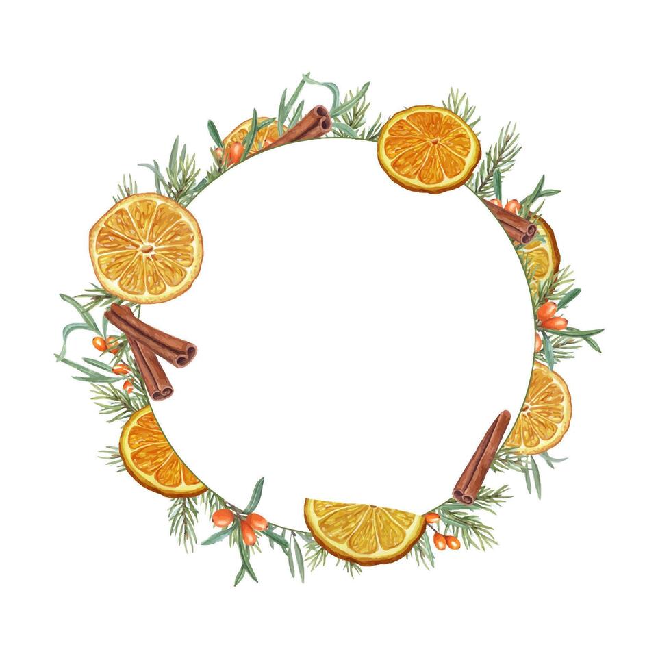 Wreath of watercolor dry orange slice, sea buckthorn berry, cinnamons and spruce branches. Citrus, berries, evergreen, spices illustration. Ingredients for winter warming drink. Empty space for text vector