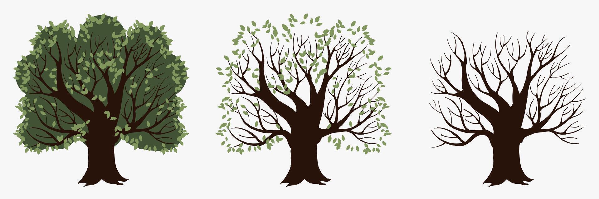 Season tree with and without foliage vector